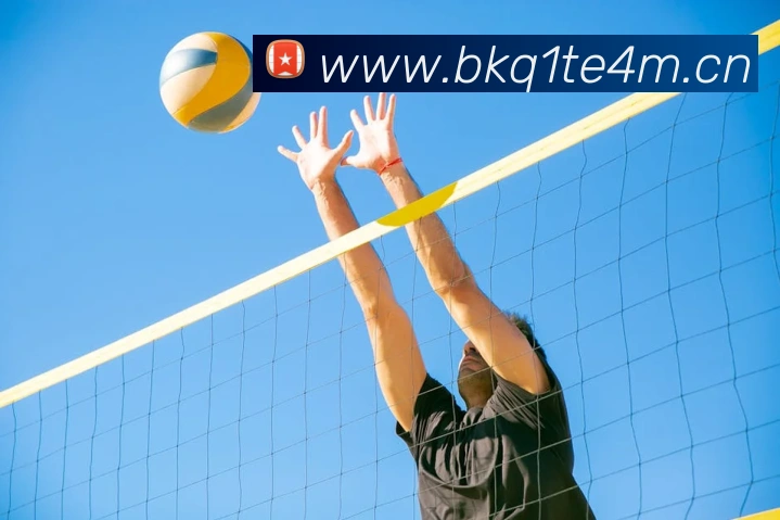 云开app官网登录入口服务体系